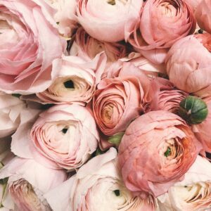 זר מזן יחיד